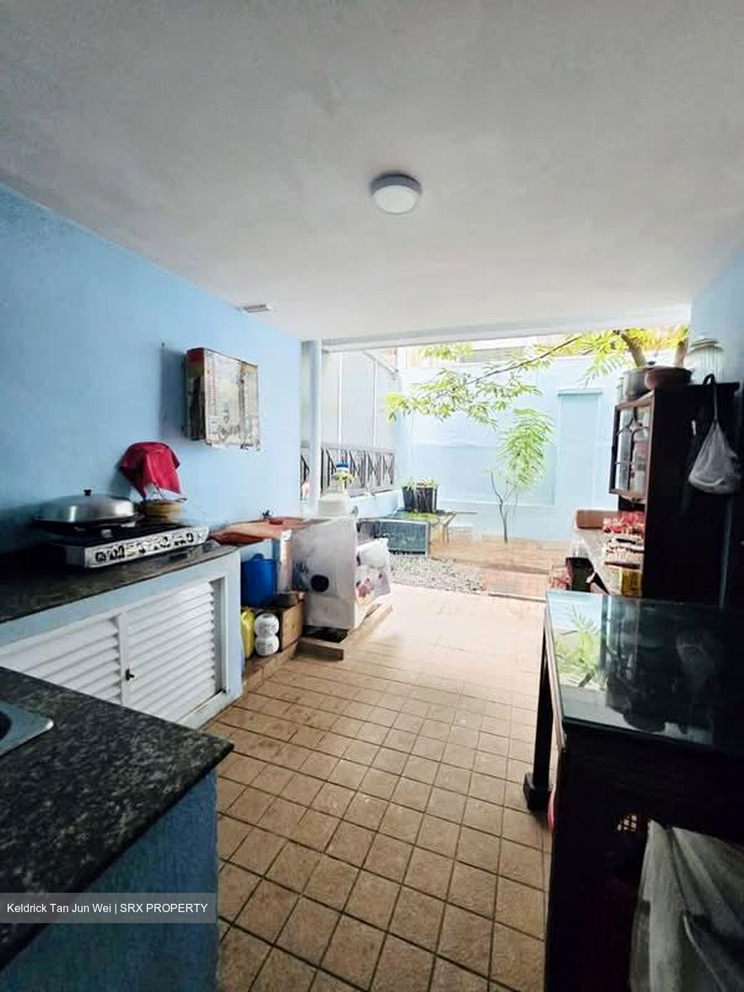Pinewood Terrace (D25), Terrace #589875581